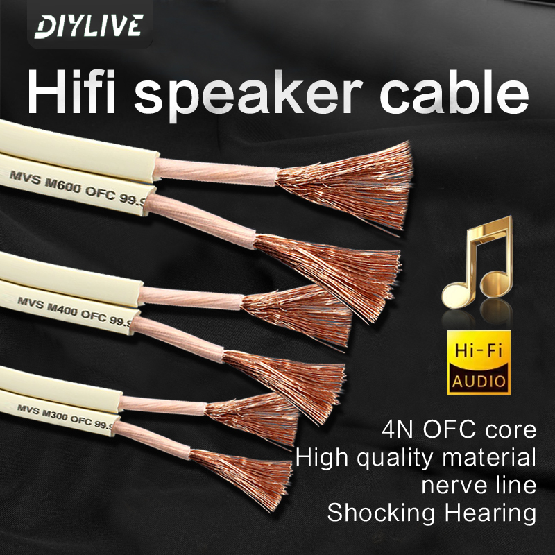 DIYLIVE HiFi 스피커 라인(홈 시네마, 자동차 - Home Cinema Xlr 리뷰 및 가격