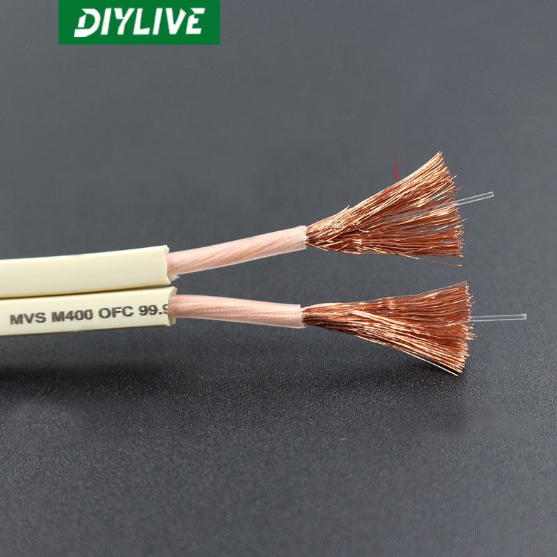 DIYLIVE HiFi 스피커 라인(홈 시네마, 자동차 - Home Cinema Xlr 리뷰 및 가격