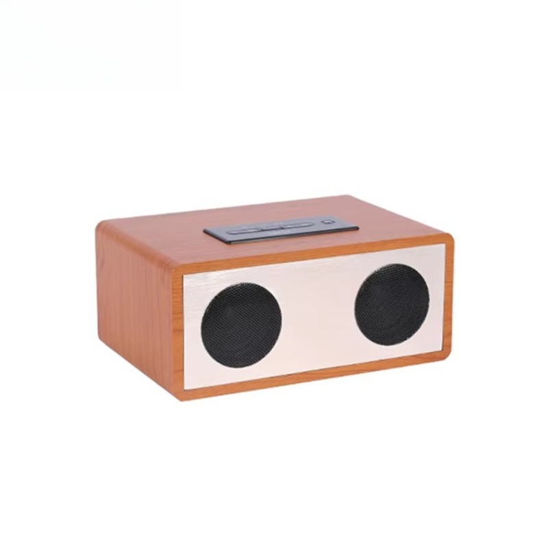맞춤형 로고 노래방 스피커 멀티 포트 BT AUX XL - Home Cinema Xlr 리뷰 및 가격